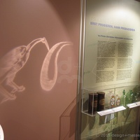 CBM Bruchsal10(7) (2015 Besuche) CBM Bruchsal10(7)