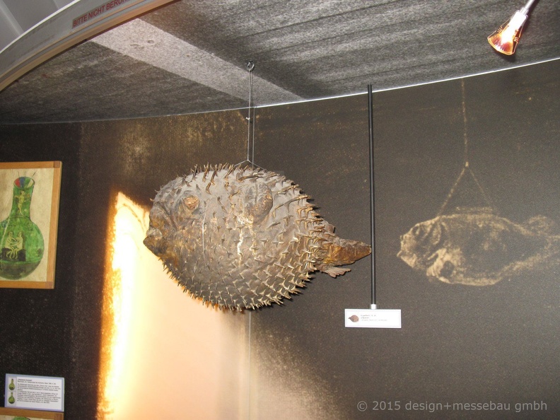 CBM Bruchsal10(18) (2158 Besuche) CBM Bruchsal10(18)