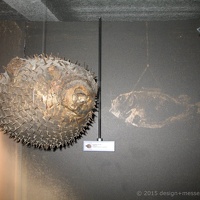 CBM Karlsruhe06(28) (1966 Besuche) CBM Karlsruhe06(28)