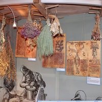 CBM MuseumBaruth13(16) (2061 Besuche) CBM MuseumBaruth13(16)