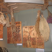 CBM SchlossTheuern11(8) (2133 Besuche) CBM SchlossTheuern11(8)