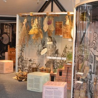 CBM Wolfen10(2) (2499 Besuche) CBM Wolfen10(2)