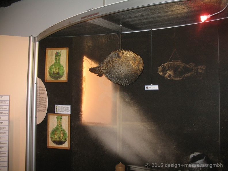 CBM Wolfen10(26) (2409 Besuche) CBM Wolfen10(26)