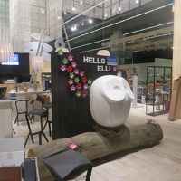 Koziol 2017 Ambiente 1133 (15)