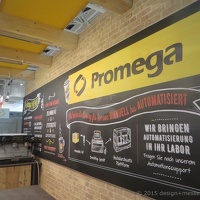 Promega 2017 BIOTECHNICA 1162 (17) (2593 Besuche) Promega 2017 BIOTECHNICA 1162 (17)