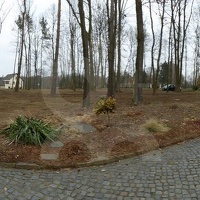 CBM Großbothen2019 7