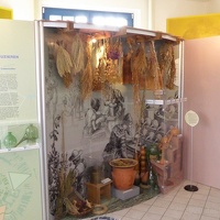 CBM Großbothen2019 29 (1438 Besuche) CBM Großbothen2019 29