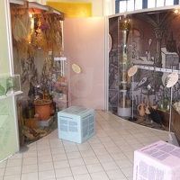 CBM Großbothen2019 41 (1384 Besuche) CBM Großbothen2019 41