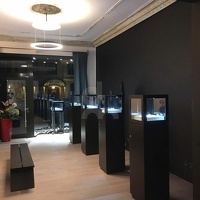 IMG-20191124-WA0009 (699 Besuche) IMG-20191124-WA0009