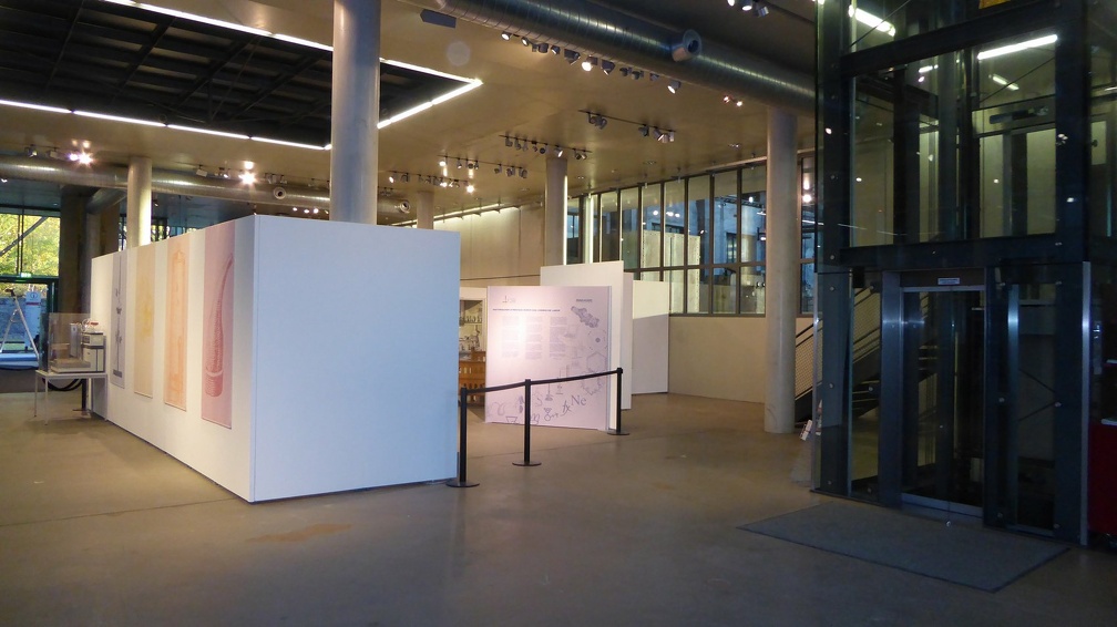 P1030129 (1655 Besuche) P1030129